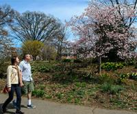 Green Spring Gardens