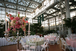 Conservatory Wedding reception