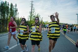 10k Run Bees