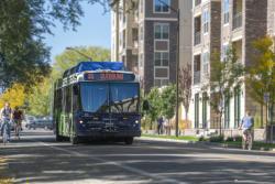 Transfort Bus in City