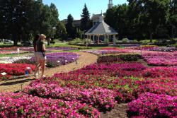 CSU Flower Trial Garden