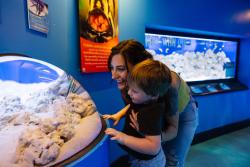 Mississippi Aquarium Changing Tides