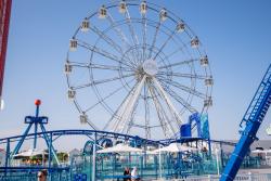 Paradise Pier Fun Park exterior view of Ferris wheel and rides