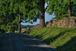 Dirt Road in Loudoun