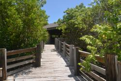 Environmental Education Center at Dr. Von D. Mizell-Eula Johnson State Park