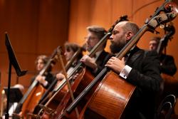 Picture of Williamsport Symphony Orchestra musicians with their instruments bows poised ready to play.