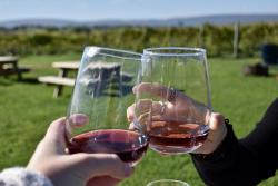 Two friends sit on the courtyard patio at Union Cellars Winery and this picture is of their hands holding wineglasses about the "cheers" with the grassy courtyard, vineyards, and mountains in the background.