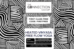 Heated Vinyasa: Free Flow Yoga