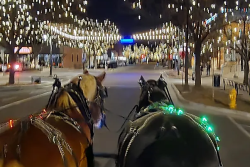 Thrifty Nights Carriage Ride