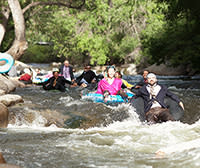 Tubing - ARTICLE DO NOT USE