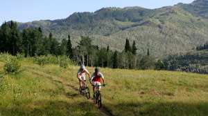 Mountain bikers
