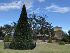 Christmas Tree At Rockefeller Gardens