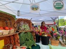 Leelanau County Farmers Market