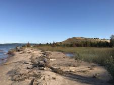 Sleeping Bear Point Beach