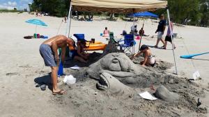 kites and castles pic