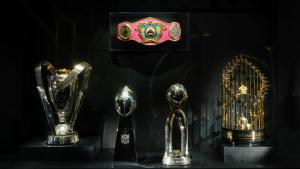 For the Win - AMNH Exhibition