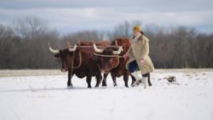 Noble Train of Artillery - Fort Ticonderoga