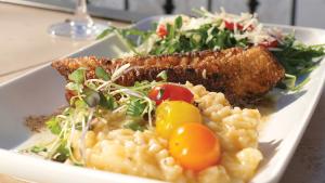 Fresh Walleye at Bon Vie, Hobart