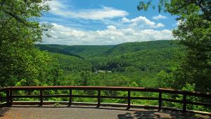 Picture of Mountain Overlook at RB Winter State Park