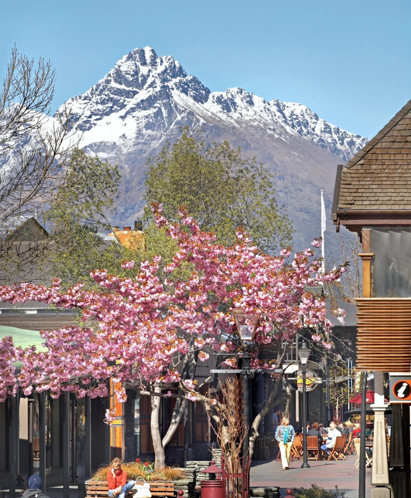 Queenstown Mall in spring with cherry blossoms and snow covered mountain in the background