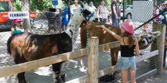 High Park Zoo