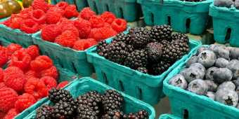 Family-Food-Market_tofoodies-1536x1229