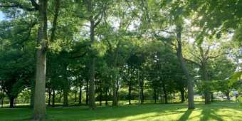 Monarch Park in the Danforth