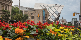 Flowers blooming in front of the Royal Ontario Museum in Toronto