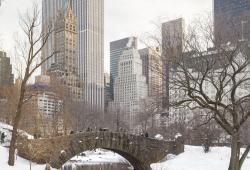 Winter-Central-Park-Tagger-Yancey