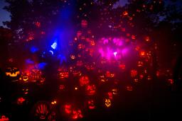JOLS Main Pumpkin set