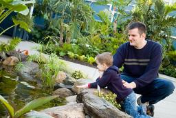 Botanical Center