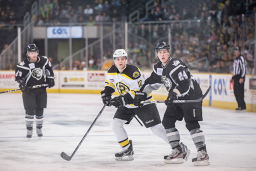 Bruins Hockey Players