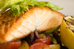 salmon