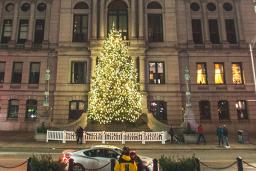 City Hall Tree Lighting