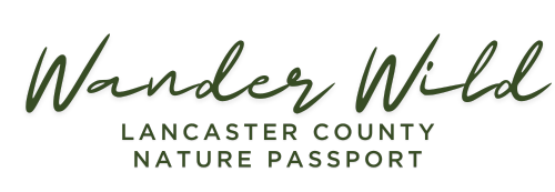 Wander Wild Logo