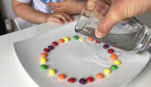 Skittles on a plate for a water rainbow experiment