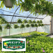 Plants and logo at Reiff's Nursery & Greenhouse