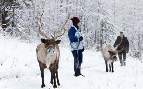 Running Reindeer Ranch - winter