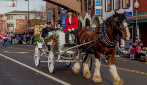 People Ride Down Street in Horse Drawn Carriage During Holiday Parade in Golden, CO
