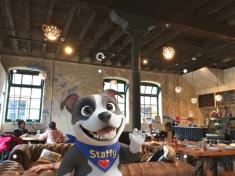 Staffy at Packaging House Cafe