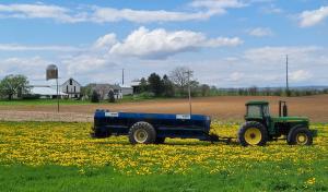 Green Tractor in Field of Yellow Flowers with beautiful cloudy blue skies and farm in the background