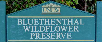 Bluethenthal Wildflower Preserve