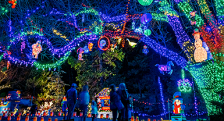 People enjoy the lights illuminating the trees at Botanica Wichita during the annual Illuminations event.