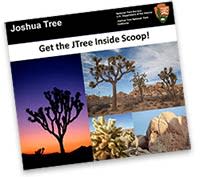 Joshua Tree National Park Inside Scoop