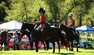 Annual Heritage, Harvest, & Horse Festival