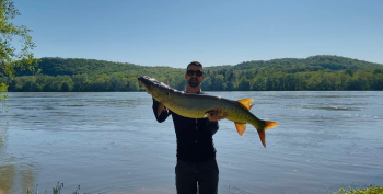 Local fishing expert, Vincent Stuter, holding a giant Muskie fish he caught on the Susquehanna River