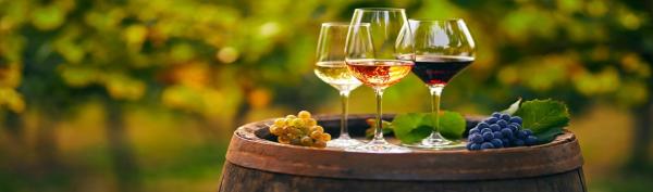 Wine Pairing Event