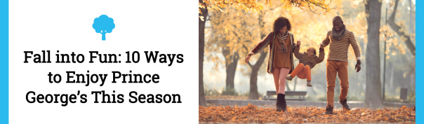 Fall into Fun Header