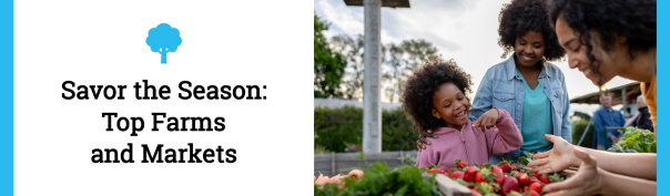 Savor The Season Header