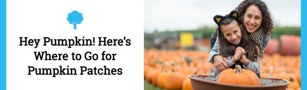 Pumpkin Patches (Header)